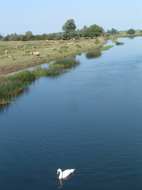 The New Bedford River at Earith Bridge