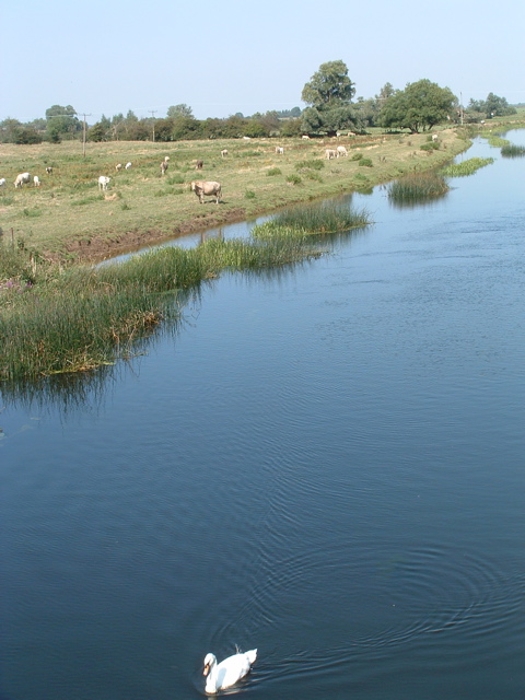 The New Bedford River at Earith Bridge