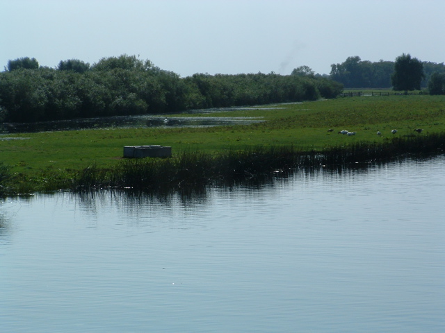 The river Great Ouse at Earith Sluice