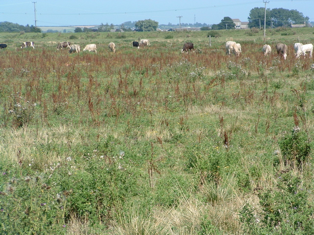 The Washes at Earith Sluice