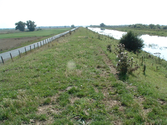 The New Bedford River between Earith & Sutton