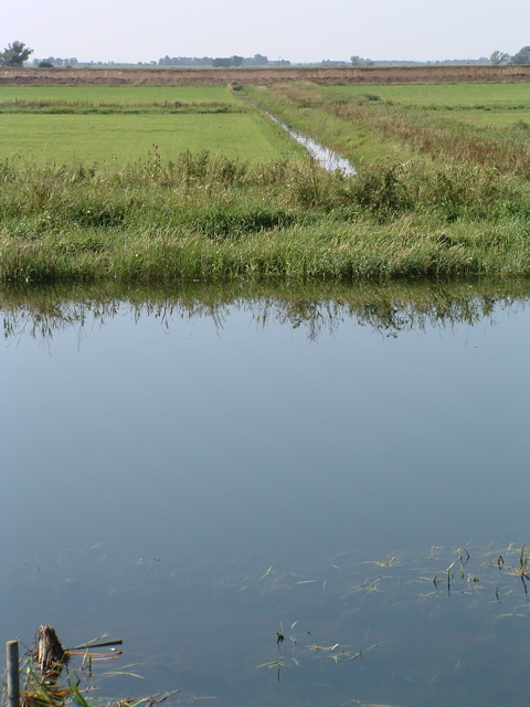 Across the Washes from the New Bedford River