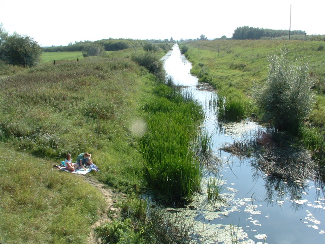 The Old Bedford River at Sutton Gault