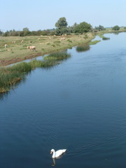 The New Bedford River at Earith Bridge