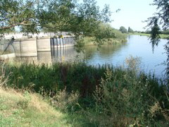 The river Great Ouse at Earith Sluice