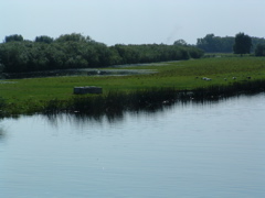 The river Great Ouse at Earith Sluice