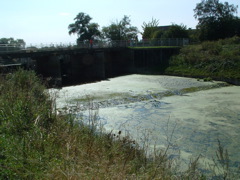 The Old Bedford River at Earith Sluice