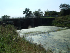 The Old Bedford River at Earith Sluice