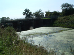 The Old Bedford River at Earith Sluice