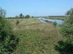 The New Bedford River at Earith Bridge