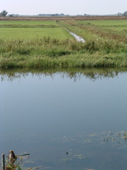 Across the Washes from the New Bedford River