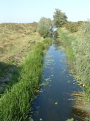 The Old Bedford River at Sutton Gault