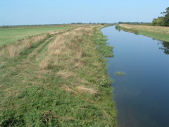 The New Bedford River at Sutton Gault