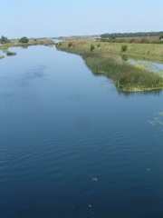 The New Bedford River at Earith Bridge