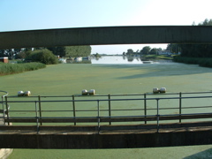 The Ely Ouse at Denver