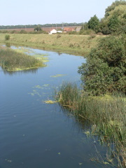 The New Bedford River at Earith Bridge