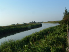 The New Bedford River at Denver Sluice