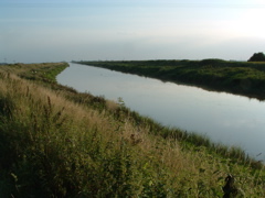 The New Bedford River at Denver Sluice